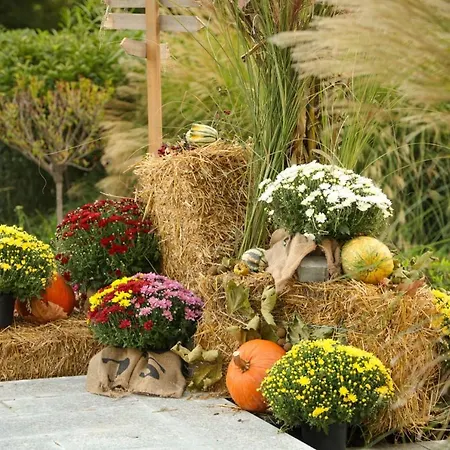 Apartment Romantic *